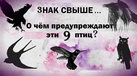 Толкование старых поверий