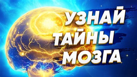 Уникальные возможности "Ирис ТГ": потенциал ирисков
