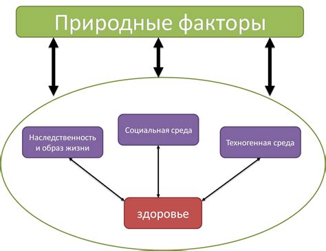 Физические преграды перед пилотами: факторы, влияющие на физические возможности