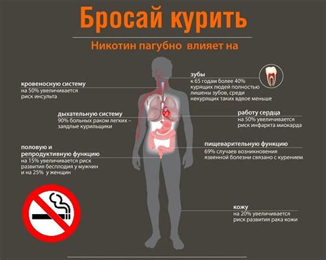 Влияние курения на здоровье и советы по преодолению зависимости