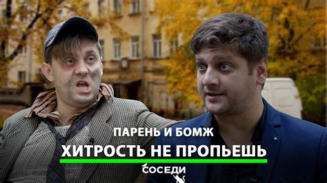  Сбил сову на машине 