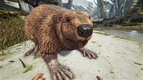 Арк бобер в Ark Survival Evolved