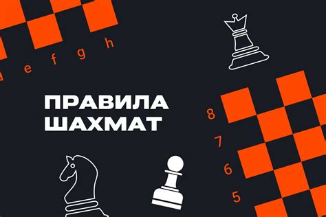 Базовые правила игры: что нужно знать