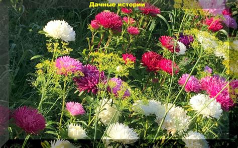 Борьба с болезнями
