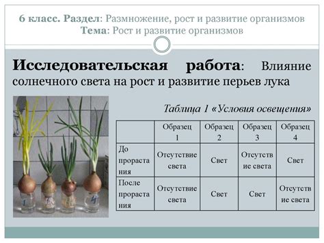 Влияние известности на развитие персонажа