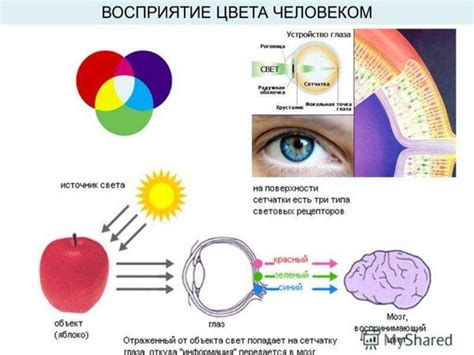 Влияние концовки на восприятие новеллы