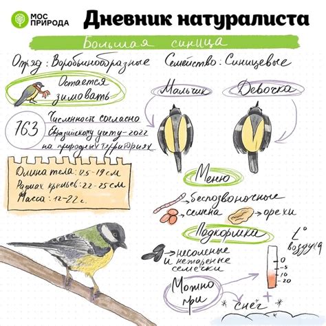 Возможности использования натуралиста