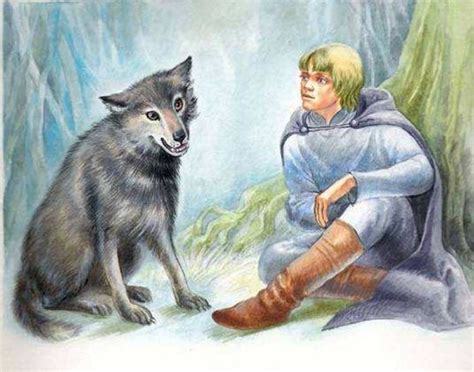 Волк серый и каракатица