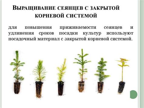 Выбор места для размножения