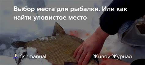 Выбор места для рыбалки