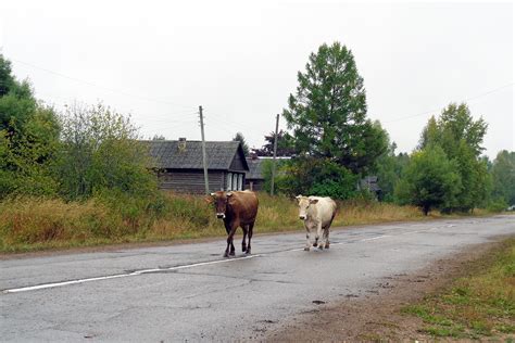 Выбор места для строительства церкви