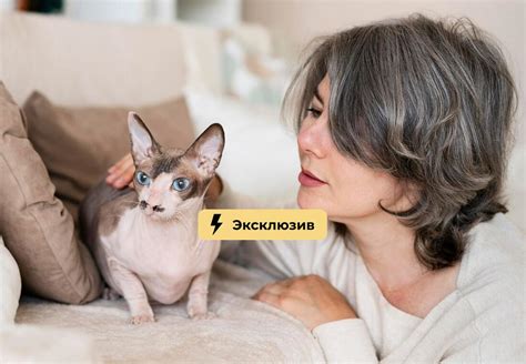 Выбор подходящего животного