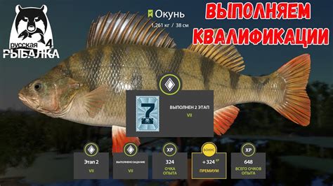 Где восстановить сохранения в Русской Рыбалке 4: подробный гайд