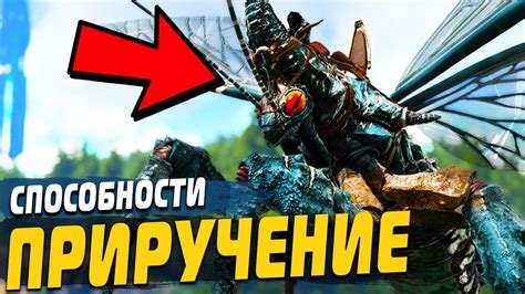 Где искать Арк бобра в игре Ark Survival Evolved