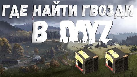 Где найти файлы логов в DayZ