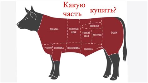 Голова говяжья в культуре