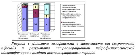 Динамика идентификации в эстетике теней