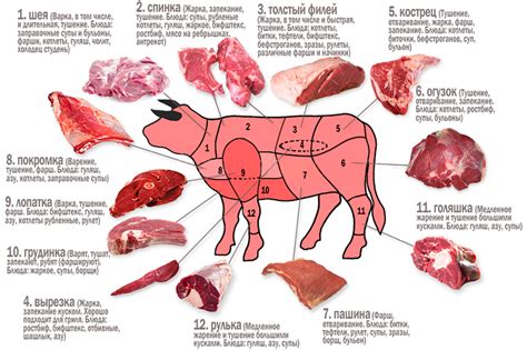 Значение головы говяжьей в разных областях