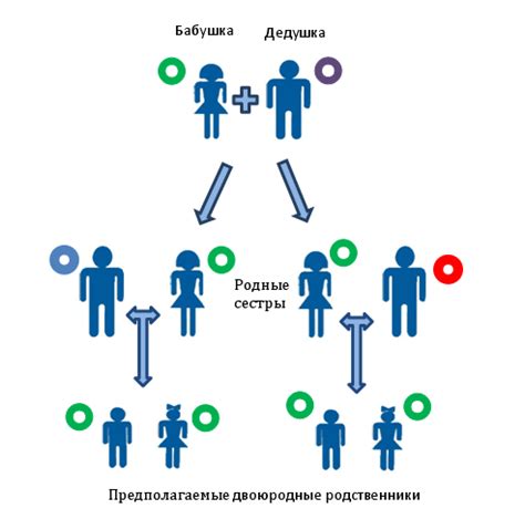 Изменение родственных связей между двоюродными братьями/сестрами