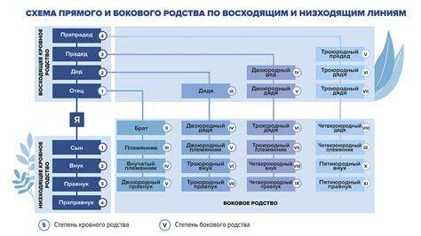 Изменение родственных связей между дедушкой/бабушкой и внуком