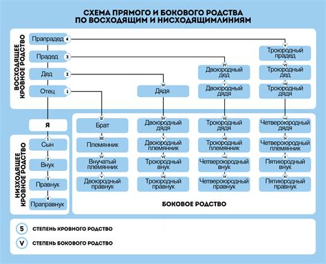 Изменение родственных связей между детьми и родителями