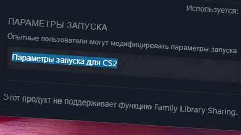 Измените параметры запуска игры