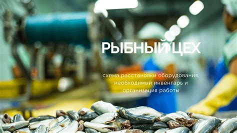 Инвентарь и его организация