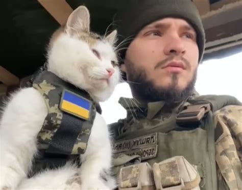 Использование военной мощи без штрафа