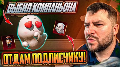 Использование нового компаньона