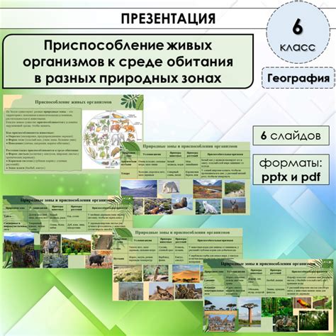 Использование природных ресурсов и приспособление к окружающей среде