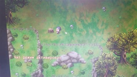 Использование читов в игре Peasants quest