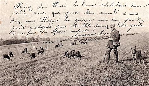История возникновения породы