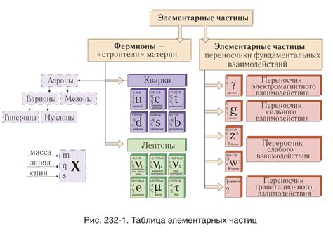 Какие частицы можно оставить