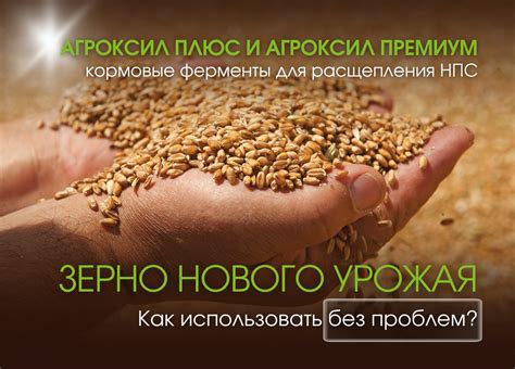 Как использовать зерно для роста своего города