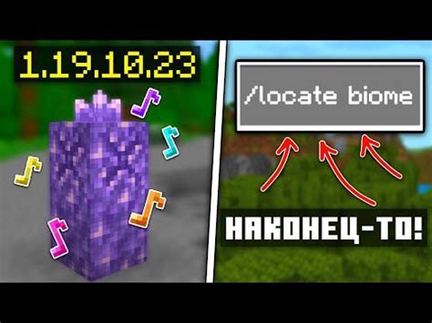 Как использовать команду /locatebiome