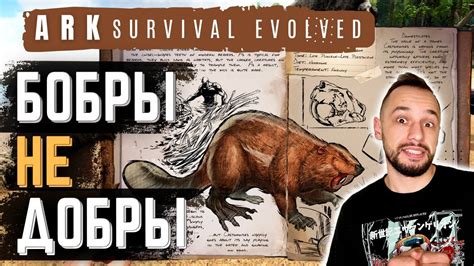 Как найти Арк бобра в Ark Survival Evolved