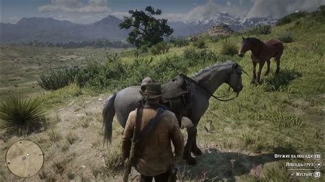 Как найти мустанга в игре Red Dead Redemption 2