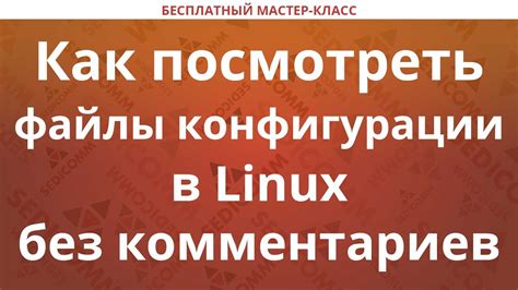 Как найти файлы конфигурации в Linux