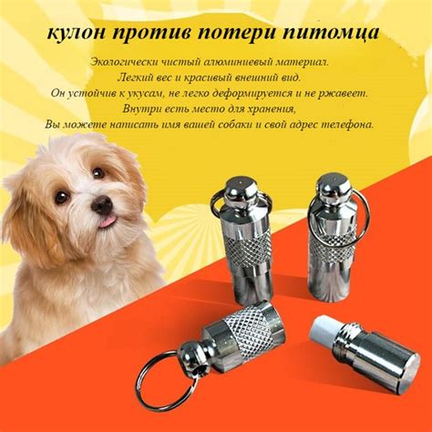 Как привести себя в порядок после потери питомца