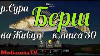 Как продать снасти в Русской рыбалке 4