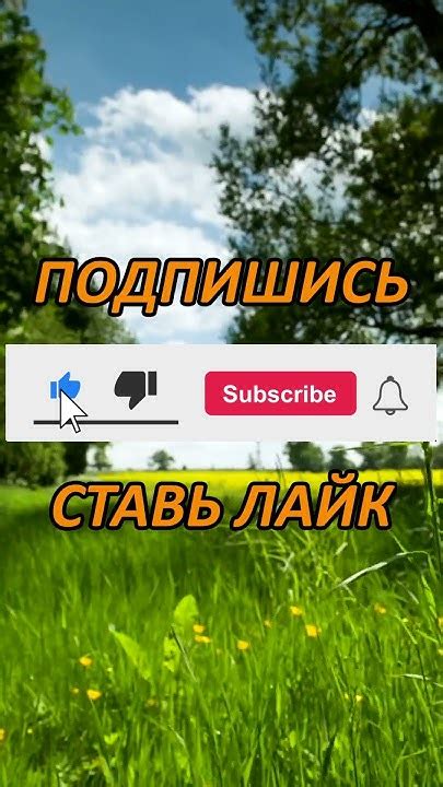 Как пройти сложные уровни: наши советы и мультипликаторы
