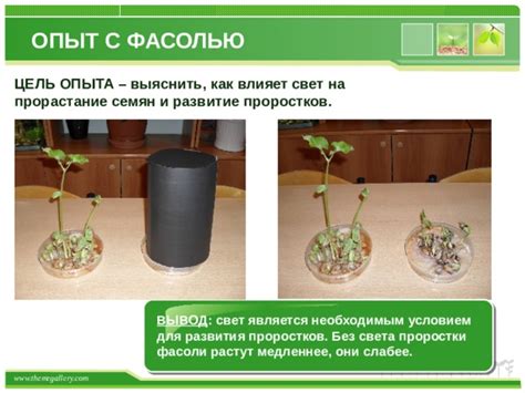 Как свет влияет на опыт и дроп мобов