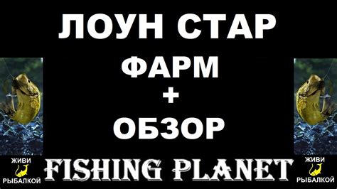 Канальный сом на лоун стар в игре Fishing Planet: как правильно ловить