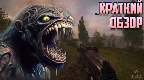 Краткий обзор игры Сталкер