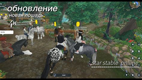 Купить лошадь дешево в стар стейбл