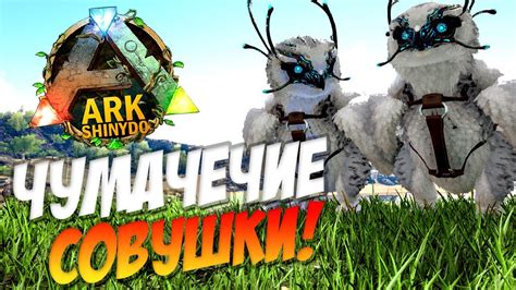 Локации снежных сов в игре