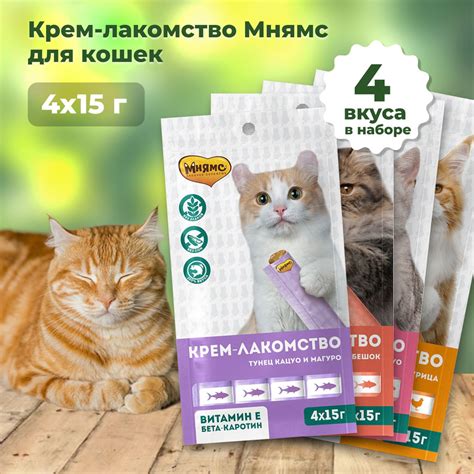 Магазин "Активный кот": особая гамма лакомств для кошек, страдающих ожирением