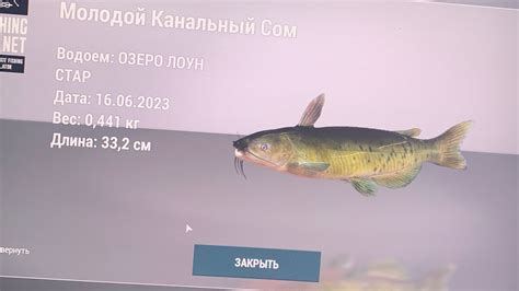 Места обитания и время ловли канального сома на лоун стар в игре Fishing Planet