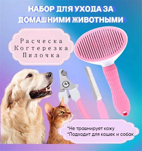 Механика ухода за животными