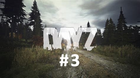 Мифы и легенды об исцеляющих свойствах консервов в игре DayZ